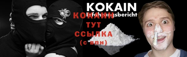 соль ск Горняк