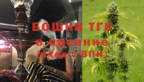 индика Мегион