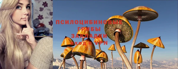 кристаллы Горнозаводск